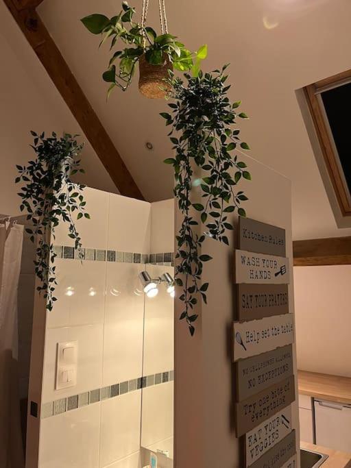 Magnifique Loft 2-3 Personnes Tout Confort 滨海布洛涅 外观 照片